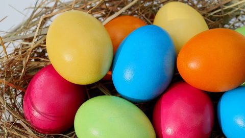 Easter Eggstravaganza